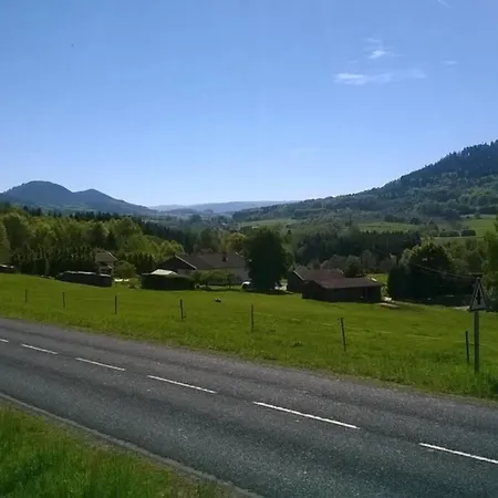 Les De L Etang :studio A 20 Mn De Gerardmer La Chapelle