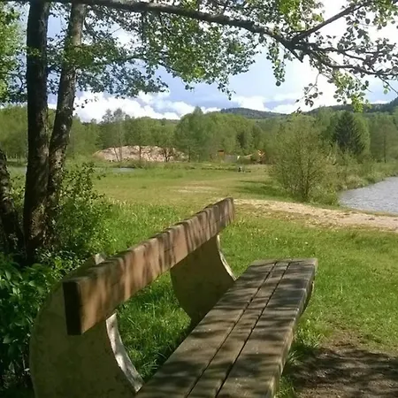 Les De L Etang :studio A 20 Mn De Gerardmer アパート *