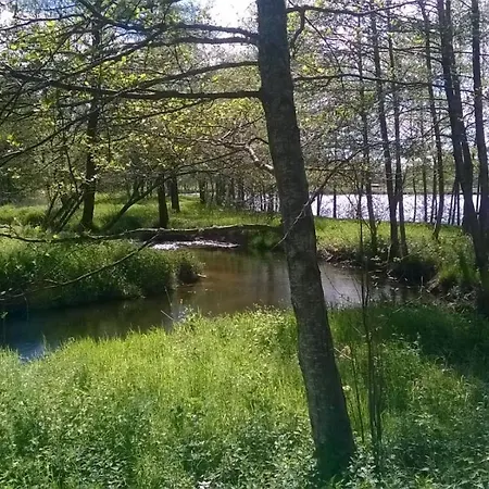Les De L Etang :studio A 20 Mn De Gerardmer דירה *
