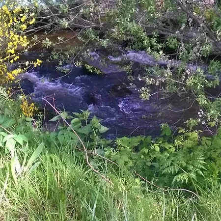דירה Les De L Etang :studio A 20 Mn De Gerardmer