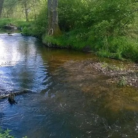 Les De L Etang :studio A 20 Mn De Gerardmer