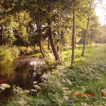 Les De L Etang :studio A 20 Mn De Gerardmer דירה *