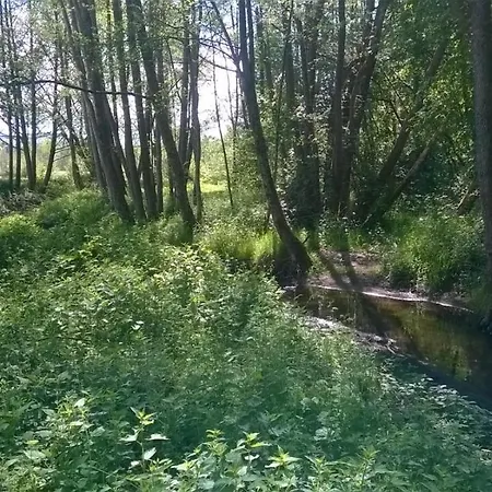 アパート Les De L Etang :studio A 20 Mn De Gerardmer *