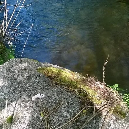 Les De L Etang :studio A 20 Mn De Gerardmer * La Chapelle (Lorraine)
