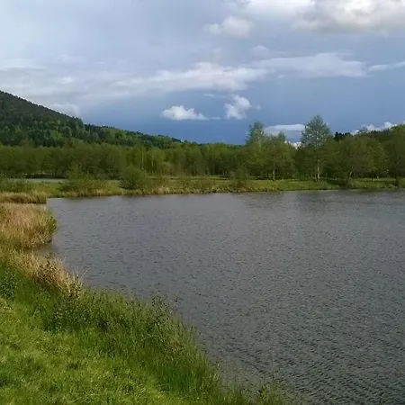 דירה Les De L Etang :studio A 20 Mn De Gerardmer La Chapelle (Lorraine)