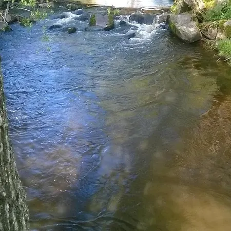 Les De L Etang :studio A 20 Mn De Gerardmer La Chapelle