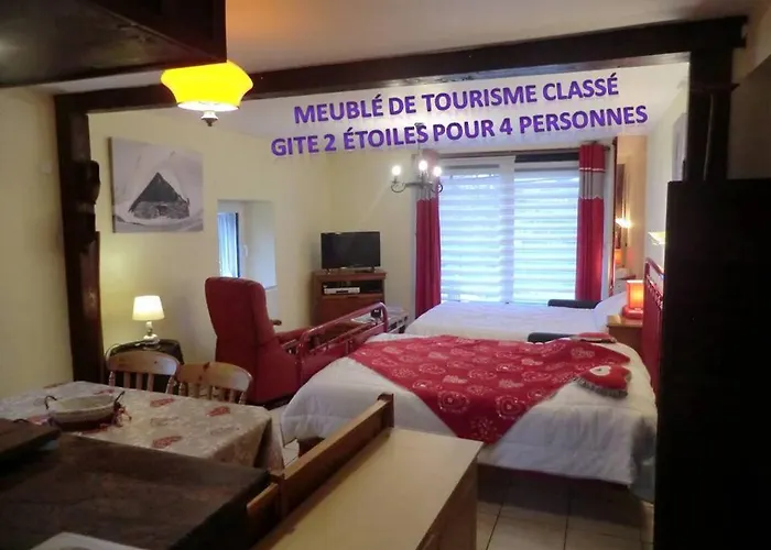 Les De L Etang :studio A 20 Mn De Gerardmer Apartmán *