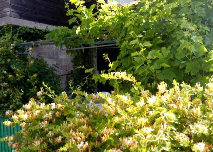 Apartmán Les De L Etang :studio A 20 Mn De Gerardmer La Chapelle (Lorraine)