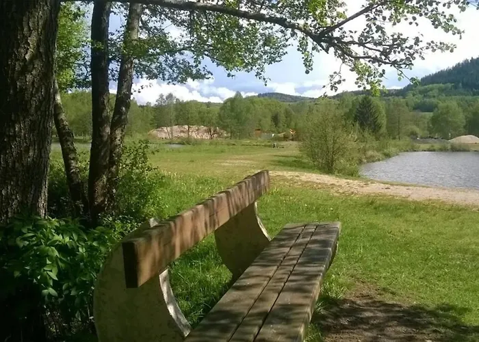 Les De L Etang :studio A 20 Mn De Gerardmer Apartmán *