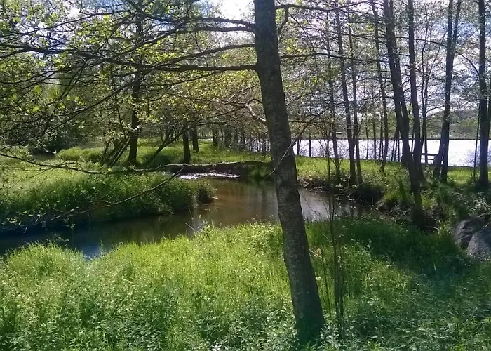 Les De L Etang :studio A 20 Mn De Gerardmer Apartmán *