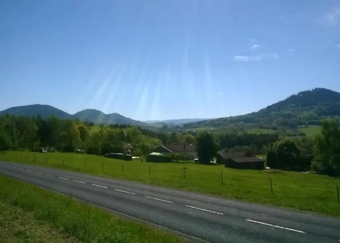 Les De L Etang :studio A 20 Mn De Gerardmer Apartmán *