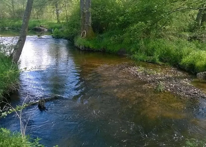 Les De L Etang :studio A 20 Mn De Gerardmer