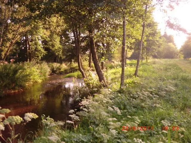 Les De L Etang :studio A 20 Mn De Gerardmer Apartmán *