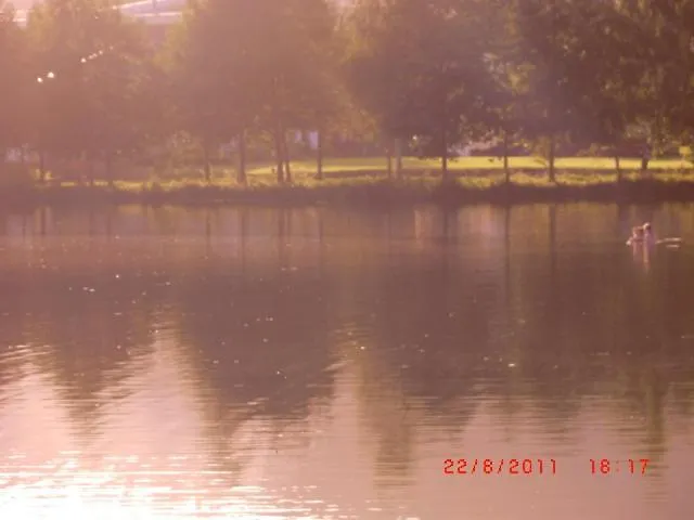 Les De L Etang :studio A 20 Mn De Gerardmer Apartmán *