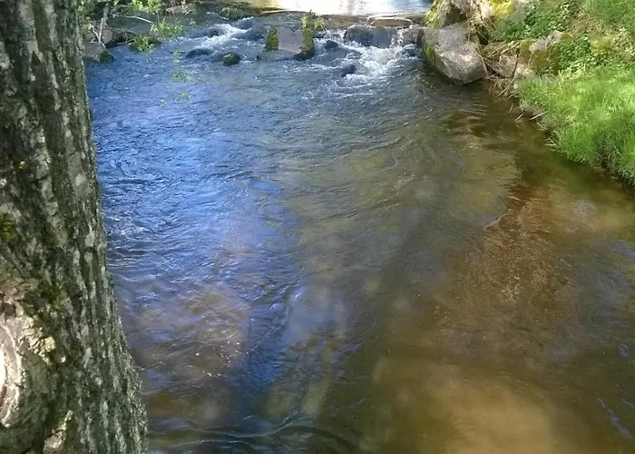 Les De L Etang :studio A 20 Mn De Gerardmer La Chapelle (Lorraine)
